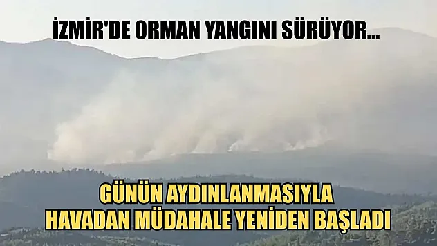 İzmir'de orman yangını sürüyor... Günün aydınlanmasıyla havadan müdahale yeniden başladı