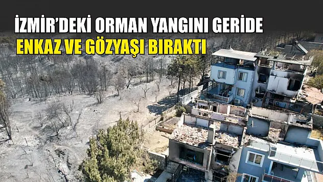 İzmir'deki Orman Yangını Geride Enkaz ve Gözyaşı Bıraktı