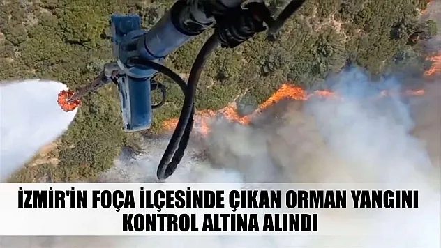 İzmir'in Foça ilçesinde çıkan orman yangını kontrol altına alındı