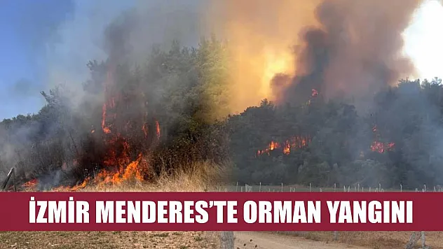 İzmir Menderes'te orman yangını