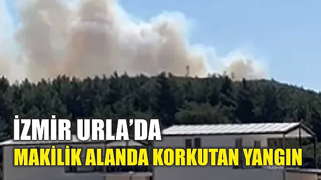 İzmir Urla'da makilik alanda korkutan yangın