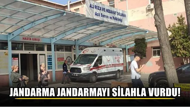 Jandarma jandarmayı silahla vurdu!