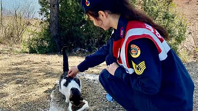 Jandarma sokak hayvanlarını elleri ile besledi