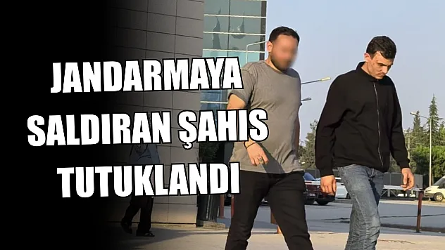 Jandarmaya saldıran şahıs tutuklandı