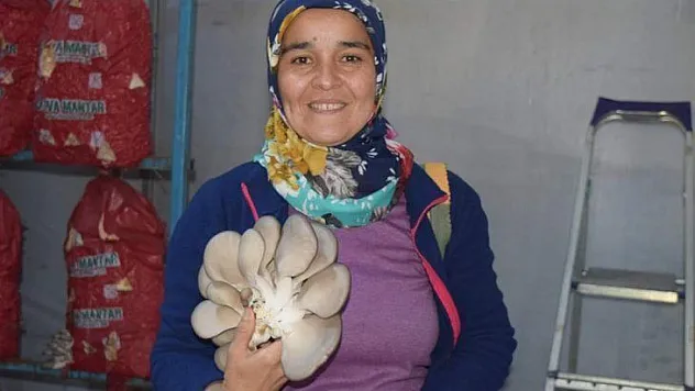 Kadın Çiftçiler İstiridye Mantarını Yerinde İnceledi