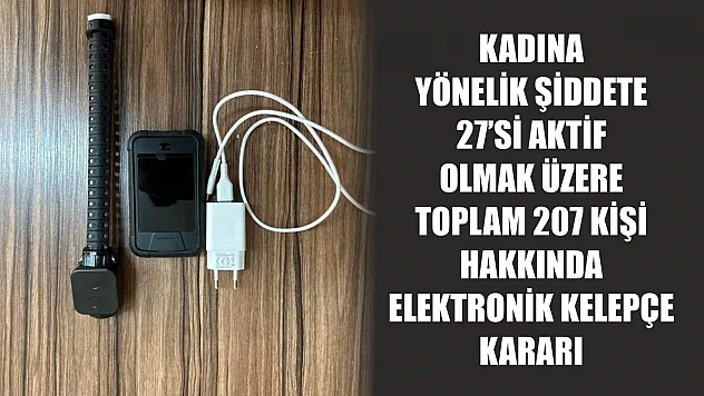 Kadına yönelik şiddete 27'si aktif olmak üzere toplam 207 kişi hakkında elektronik kelepçe kararı