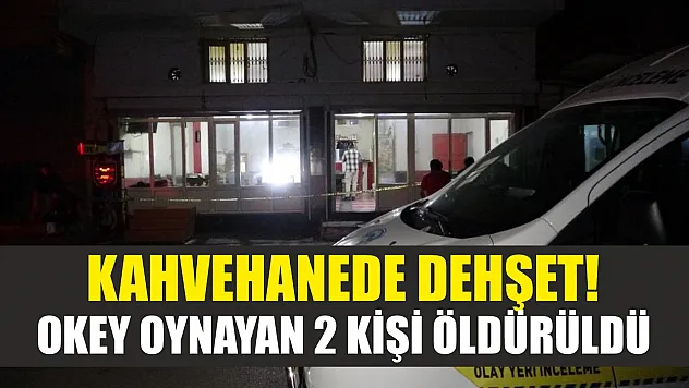 Kahvehanede dehşet! Okey oynayan 2 kişi öldürüldü