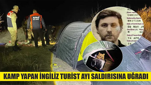 Kamp yapan İngiliz turist ayı saldırısına uğradı