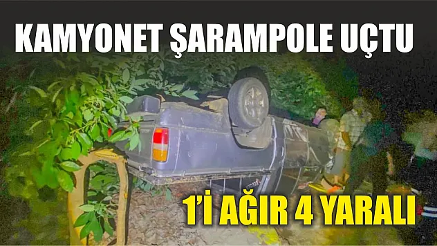 Kamyonet şarampole uçtu: 1'i ağır 4 yaralı