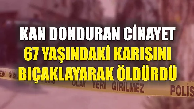 Kan donduran cinayet: 67 yaşındaki karısını bıçaklayarak öldürdü