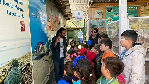 'Kaplumbağa muhafızları' iş başında