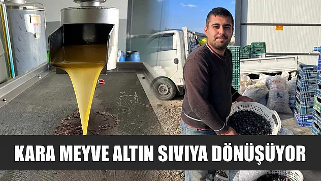 Kara meyve altın sıvıya dönüşüyor