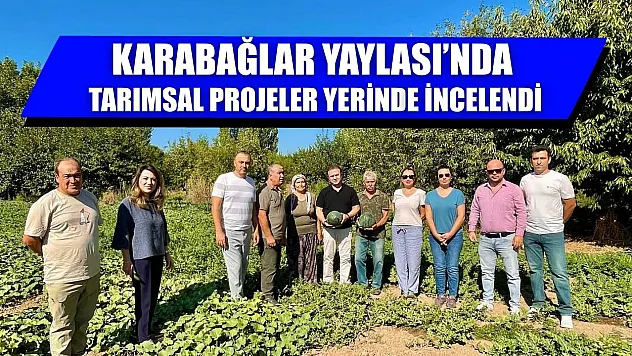 Karabağlar Yaylası'nda tarımsal projeler yerinde incelendi