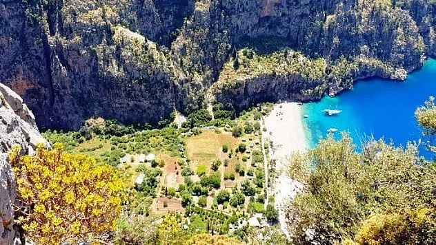 Karaca İstedi, Cumhurbaşkanı Erdoğan Onayladı