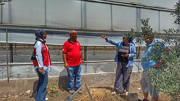 Karaçulha'da domuz zararı yerinde incelendi: Fethiyeli üreticilere ÇKS ve yeni B-Reçete Sistemi uyarısı