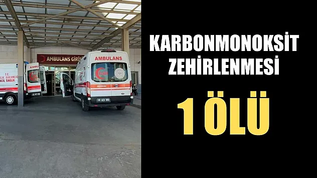 Karbonmonoksit zehirlenmesi: 1 ölü