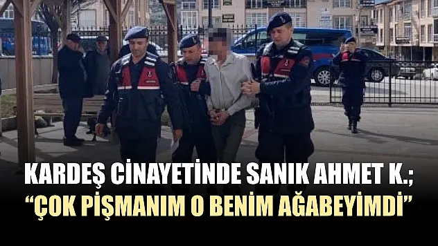 Kardeş cinayetinde sanık Ahmet K. 'Çok pişmanım o benim ağabeyimdi'