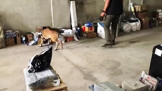 Kargo ile uyuşturucu sevkiyatına operasyon