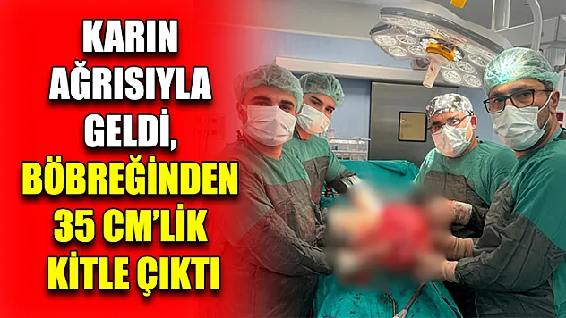 Karın Ağrısıyla Geldi, Böbreğinden 35 Cm'lik Kitle Çıktı
