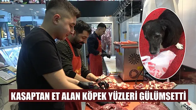 Kasaptan et alan köpek yüzleri gülümsetti