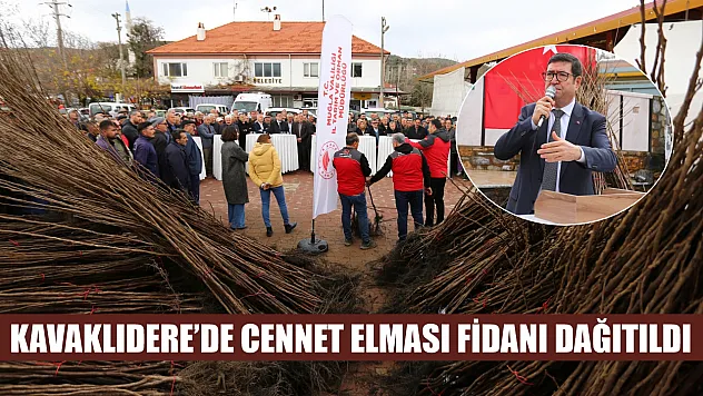 Kavaklıdere'de Cennet Elması Fidanı Dağıtıldı