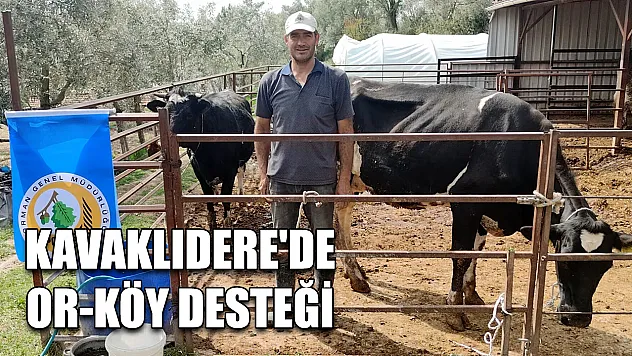Kavaklıdere'de OR-KÖY desteği