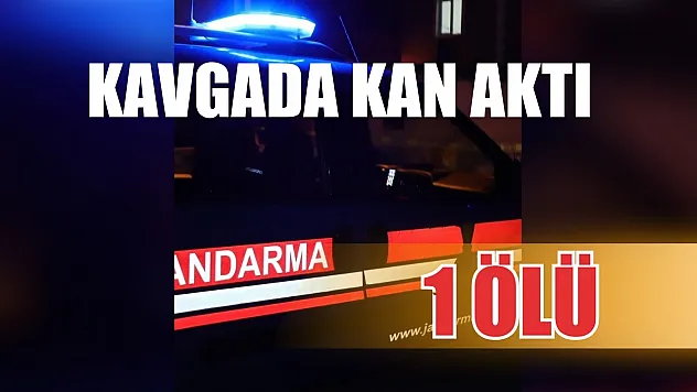 Kavgada kan aktı: 1 ölü