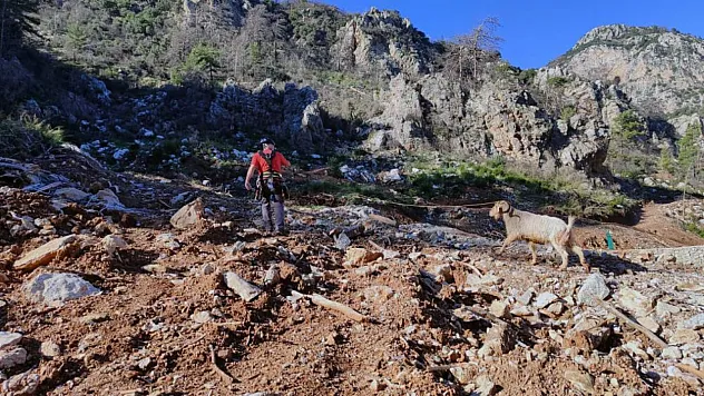 Kayalık alanda mahsur kalan keçi kurtarıldı