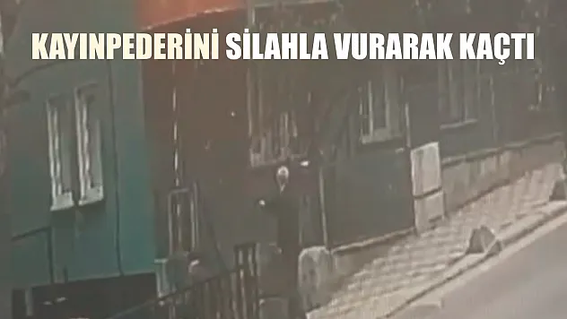Kayınpederini silahla vurarak kaçtı