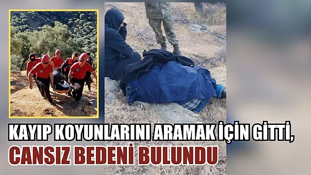 Kayıp koyunlarını aramak için gitti, cansız bedeni bulundu
