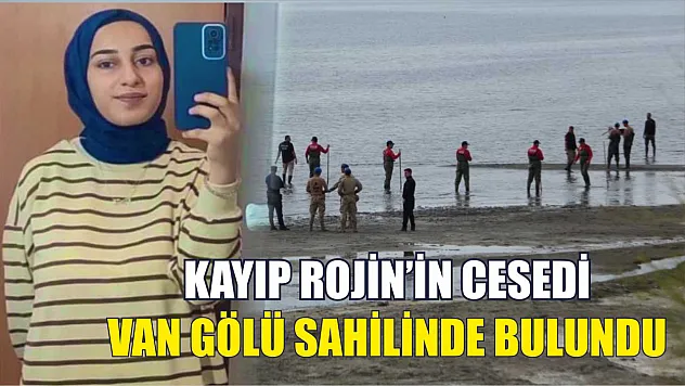 Kayıp Rojin'in cesedi Van Gölü sahilinde bulundu