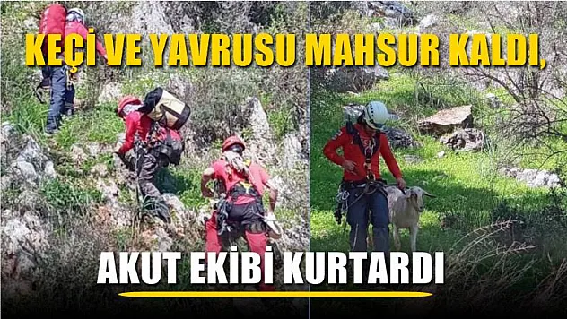 Keçi ve yavrusu mahsur kaldı, AKUT ekibi kurtardı