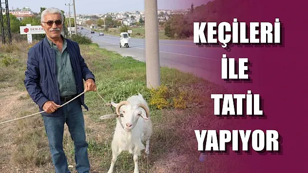 Keçileri ile tatil yapıyor