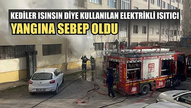 Kediler ısınsın diye kullanılan elektrikli ısıtıcı yangına sebep oldu