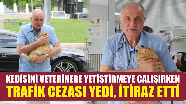 Kedisini veterinere yetiştirmeye çalışırken trafik cezası yedi, itiraz etti