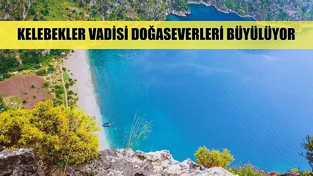 Kelebekler Vadisi doğaseverleri büyülüyor