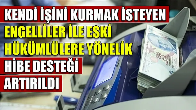 Kendi işini kurmak isteyen engelliler ile eski hükümlülere yönelik hibe desteği artırıldı
