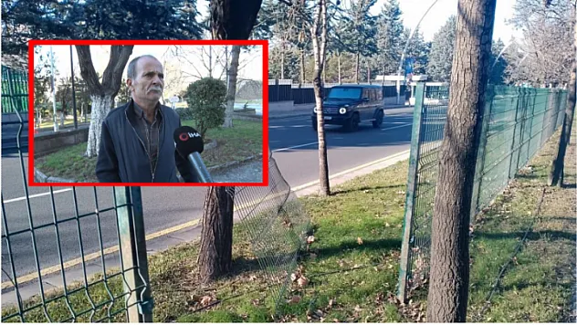 Kendini ısıran başıboş sokak köpeklerinden kaçarken araba çarptı