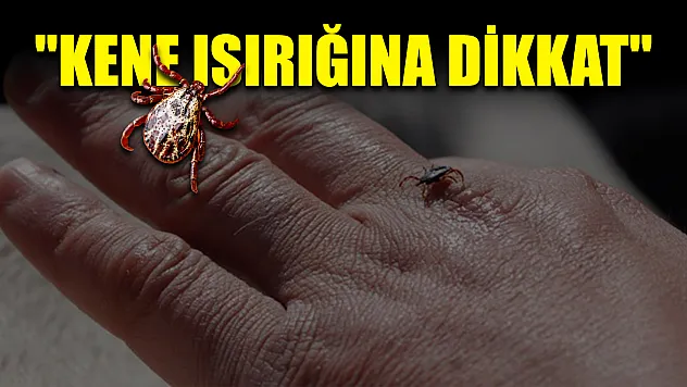 'Kene ısırığına dikkat'