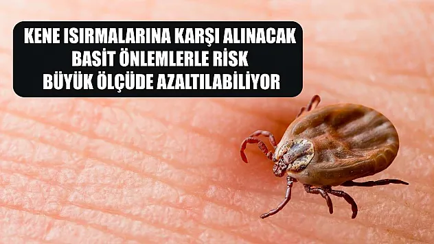 Kene ısırmalarına karşı alınacak basit önlemlerle risk büyük ölçüde azaltılabiliyor