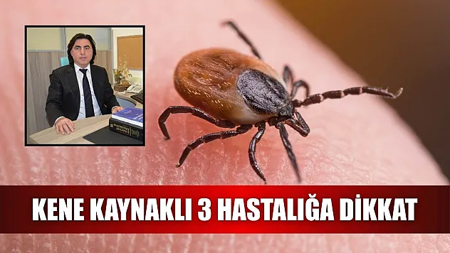 Kene kaynaklı 3 hastalığa dikkat