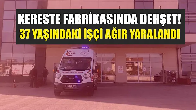 Kereste Fabrikasında Dehşet! 37 Yaşındaki İşçi Ağır Yaralandı
