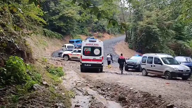 Kestane toplamak için girdiği ormandan cansız bedeni çıktı