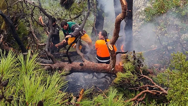 Kış ortasında orman yangını