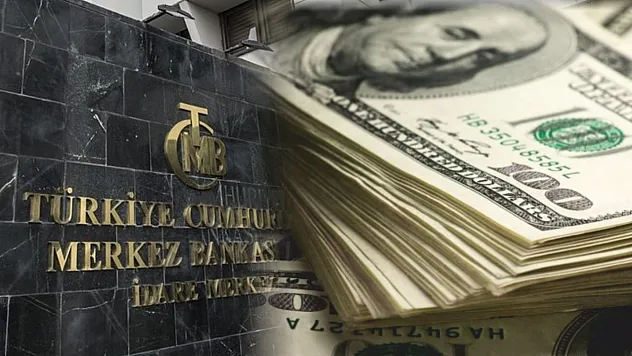 Kısa vadeli dış borç stoku, Aralık ayında 165,7 milyar dolar oldu