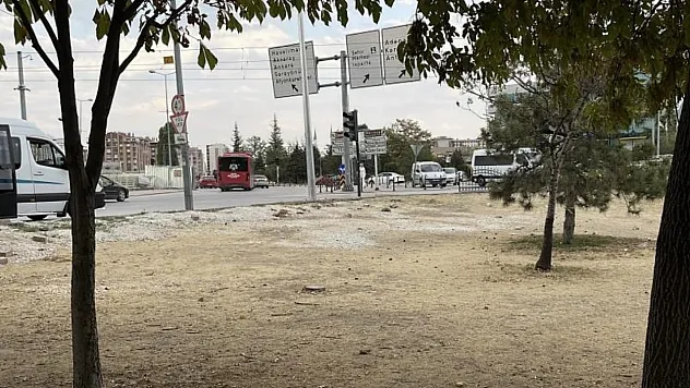 Kıskançlık Kavgası: 15 Yaşındaki Kız Bıçaklandı