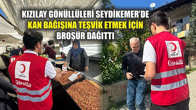 Kızılay gönüllüleri Seydikemer'de kan bağışına teşvik etmek için broşür dağıttı