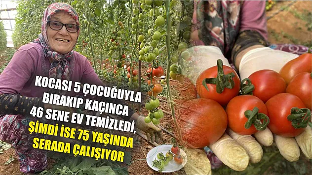 Kocası 5 çocuğuyla bırakıp kaçınca 46 sene ev temizledi, şimdi ise 75 yaşında serada çalışıyor