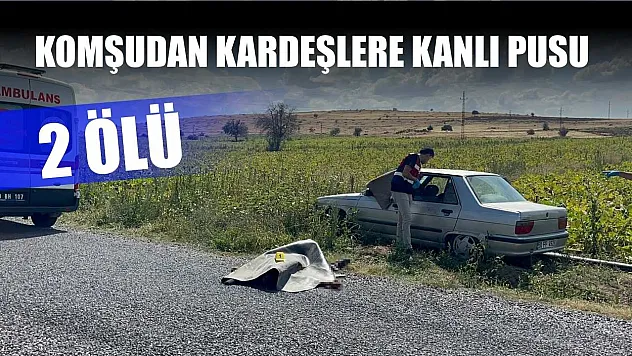Komşudan kardeşlere kanlı pusu: 2 ölü