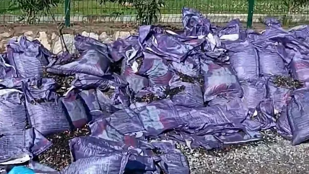 Kömür atıkları insan sağlığını tehdit ediyor